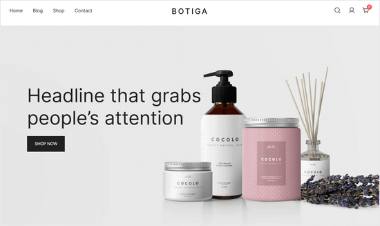 Botiga